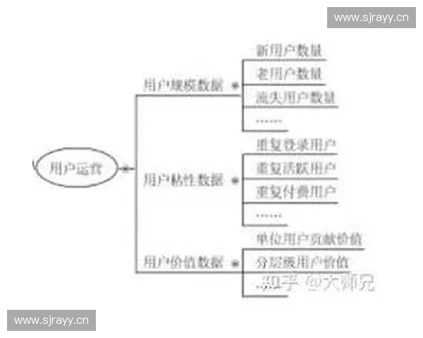 赛事运营分析报告：优化策略与市场推广效果评估