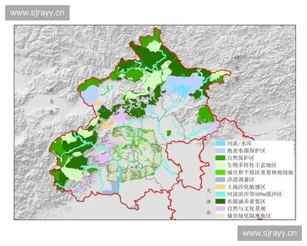 围绕体育版权构建多元化商业生态与内容创新及传播策略路径探索新